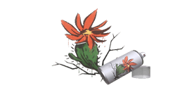 Graffiti "Cactus"