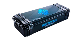 Case Weapon "Winter Tale"