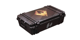 Gloves Case "Reforged"