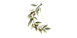 Charm "Olive Branch"